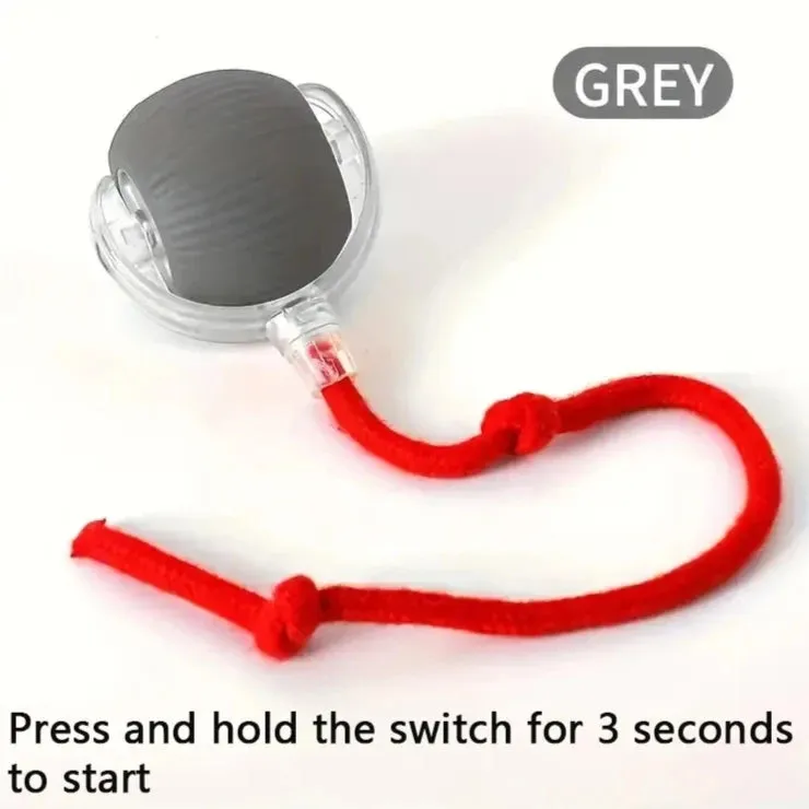 Smart Interactive Dog Toy Ball