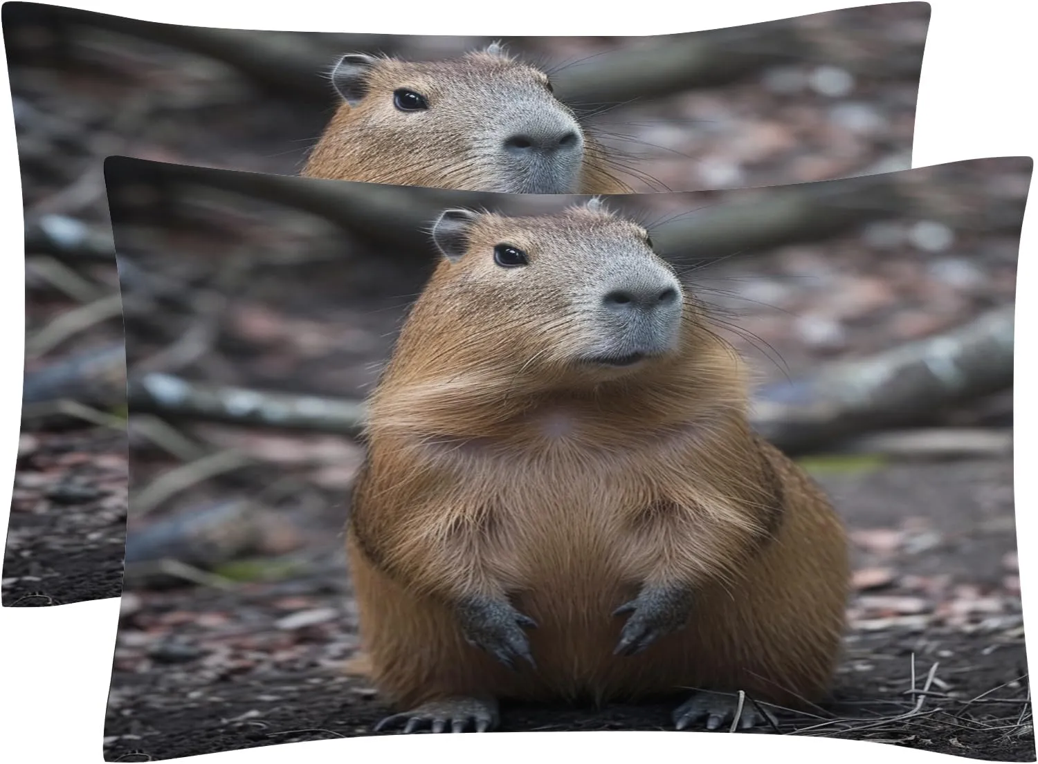 Soft Microfiber Guinea Pig Duvet Cover Cal King Size 3D Animal Bedding Set - 3-Piece with Zipper, 2 Pillowcases - Patterned Comforter Cover for Boy and Girl Bedroom Decoration