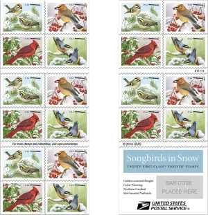 Songbirds in Snow Forever First Class Postage Stamps (20 Stamps) - United States Postal Service