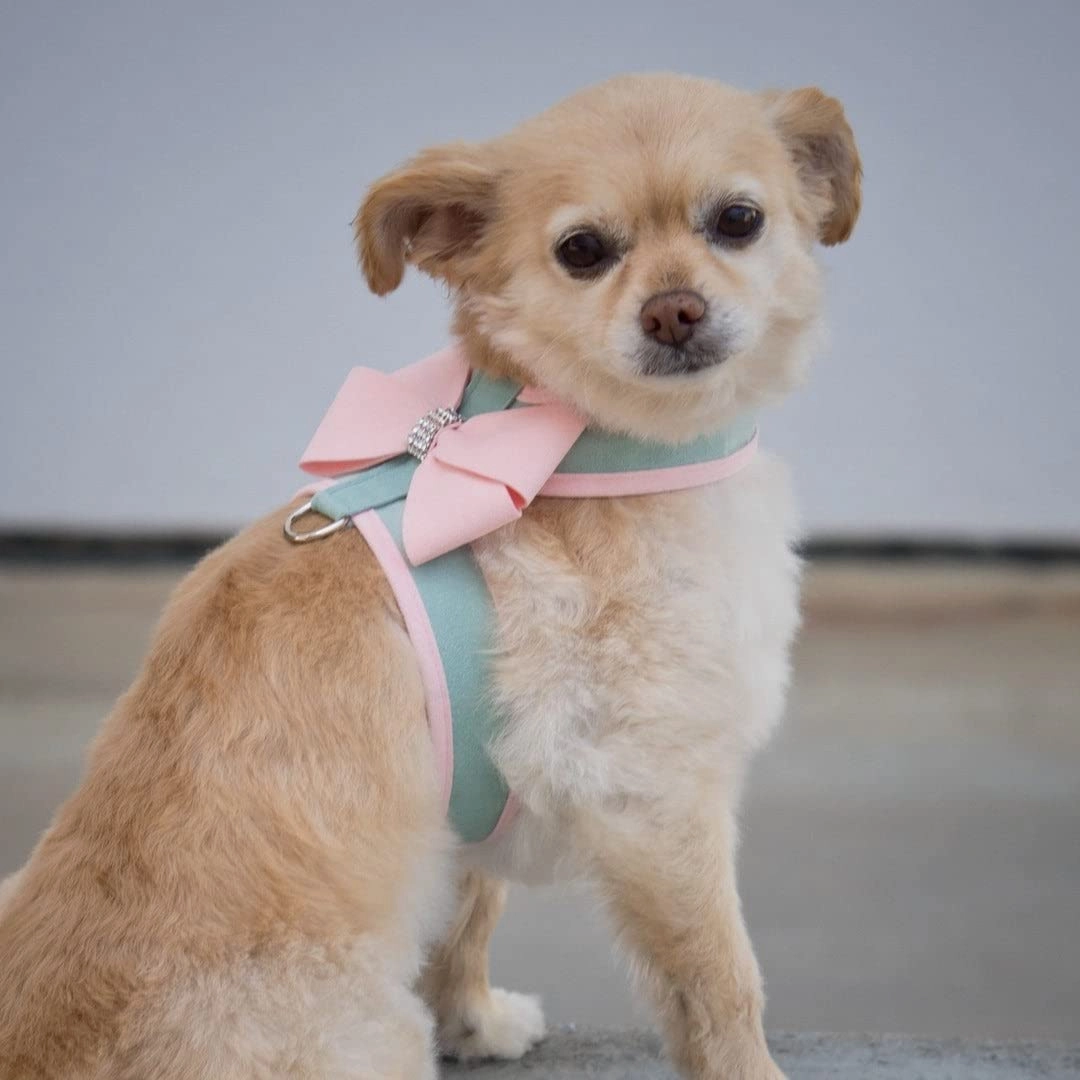 Susan Lanci Designs Cute Ultrasuede Nouveau Hair Bow with Swarovski Crystals, Accessories For Dogs, Small, Black