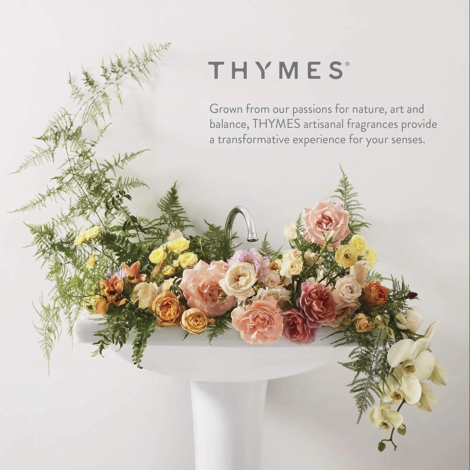 Thymes Bar Soap Trio Gift Set - Frasier Fir - Natural Hand Soaps - Contains Three - Cruelty-Free and Vegan - Pine Tree Scented Hand and Body Soap - 5.5 Oz Bars