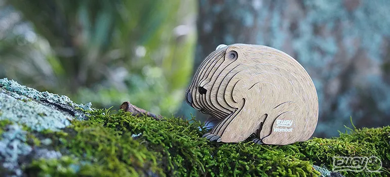 Wombat 3D Model Kit